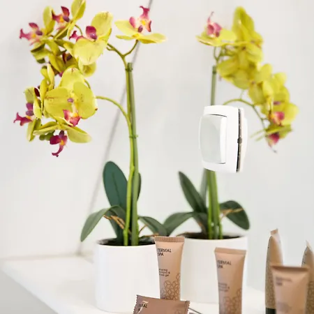 Hisa Pod Gradom Apartman