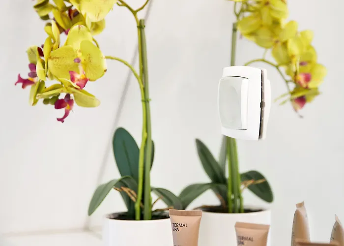 Hisa Pod Gradom דירה